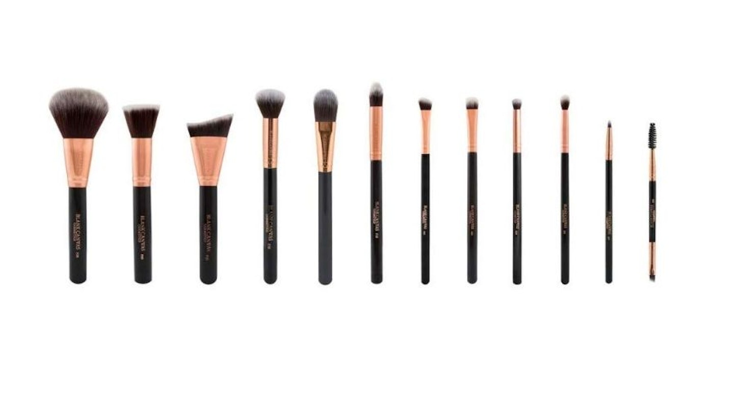 Blank Canvas 12-Pieces Face and Eye Make-Up Brush Set