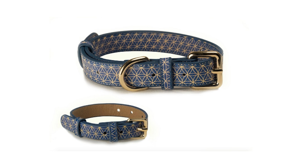 The Best Dog Collars UK