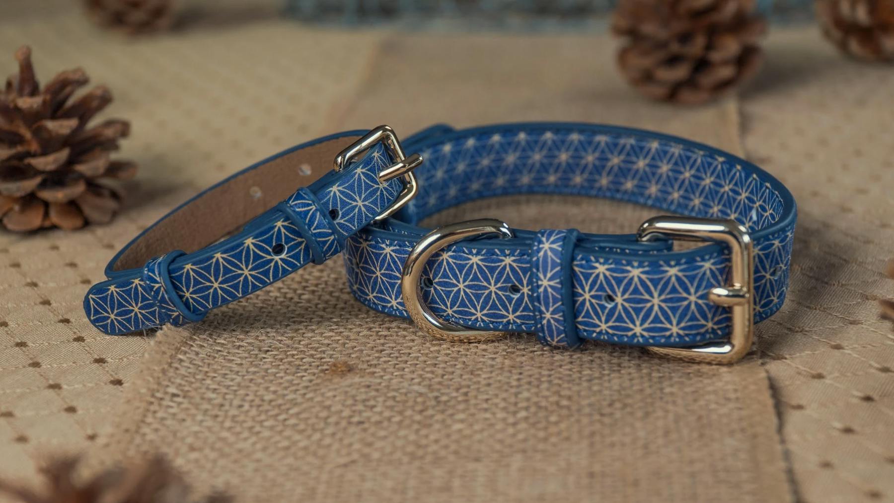 The Best Dog Collars UK