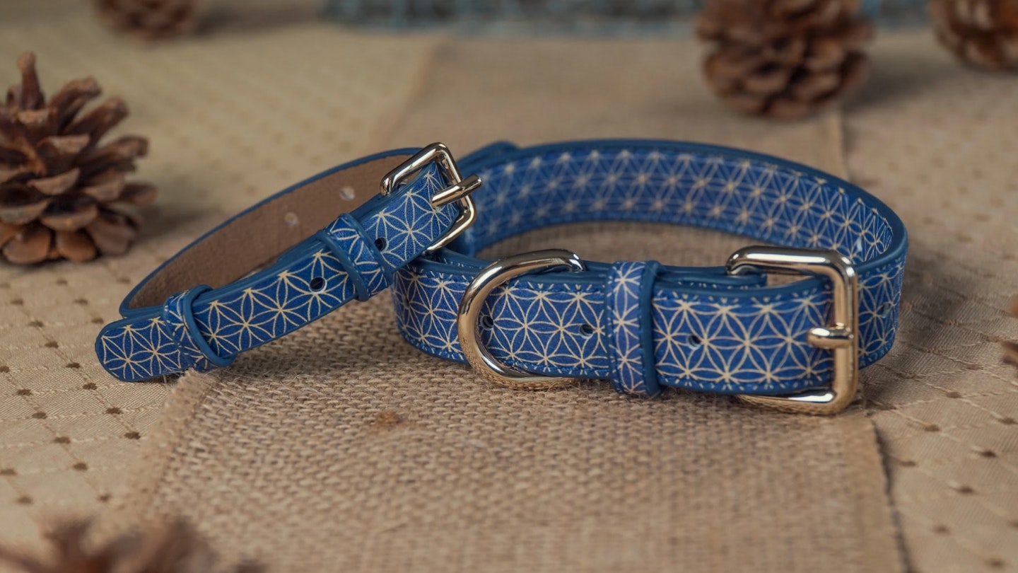 Best dog collars: Blue dog collars on table with pinecones