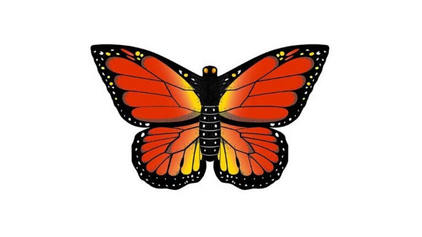 WindNSun Monarch Butterfly Nylon Kite, £50.92
