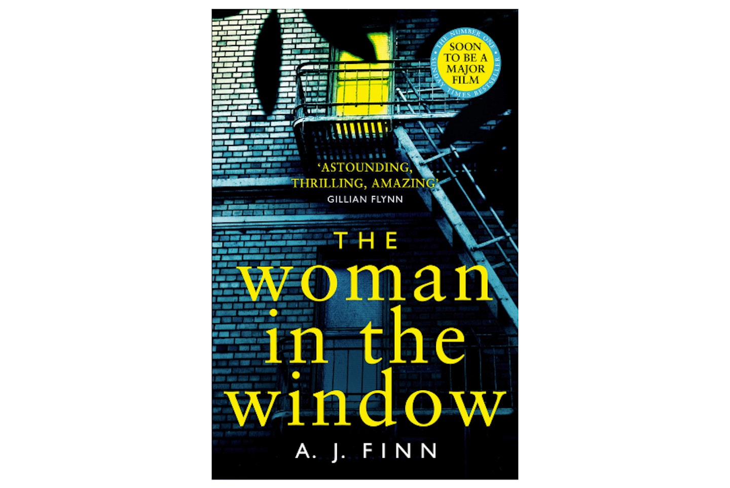 The Woman in the Window by A. J. Finn, £6.79