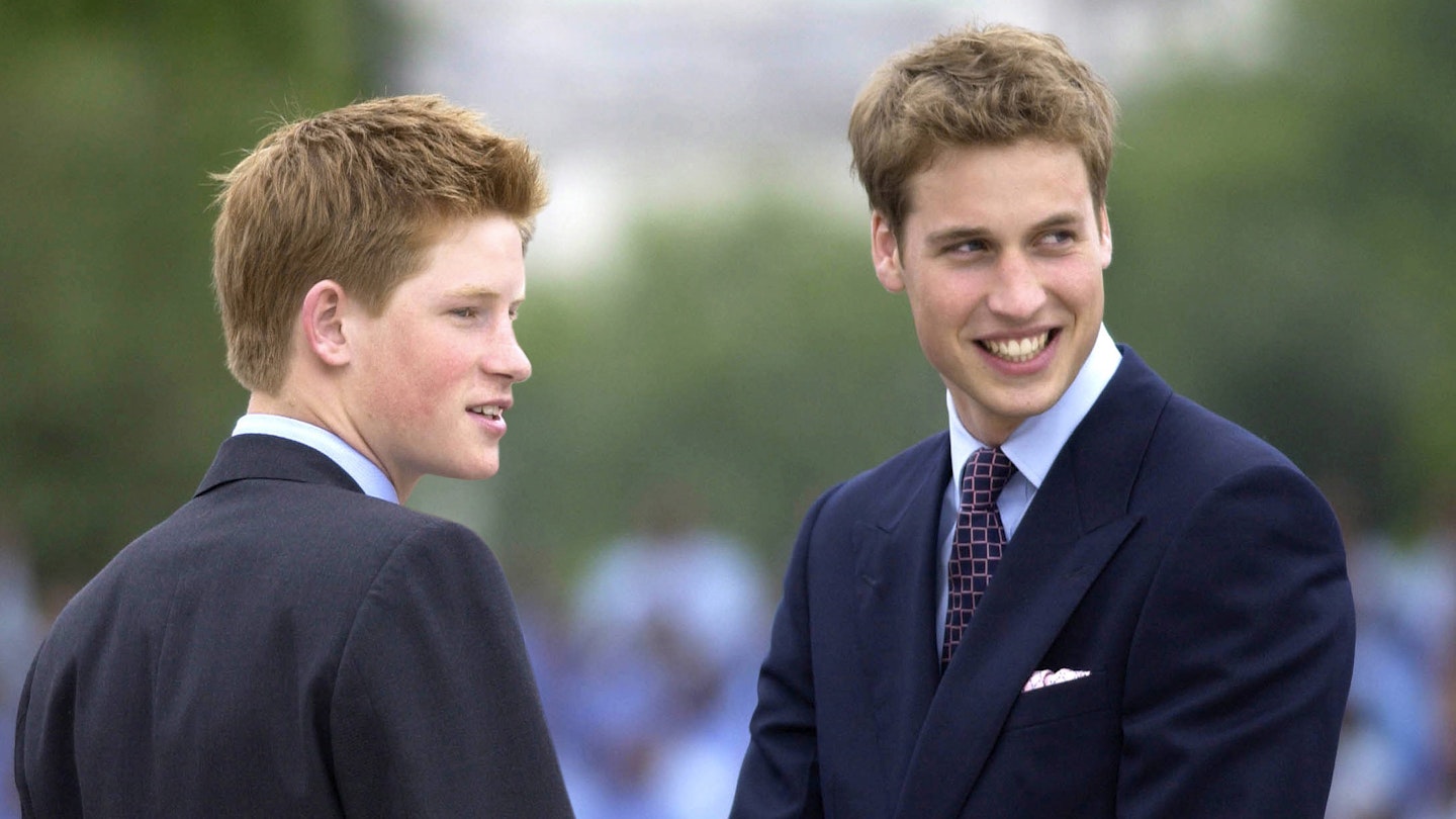 Prince William and Prince Harry's Brotherhood in Pictures