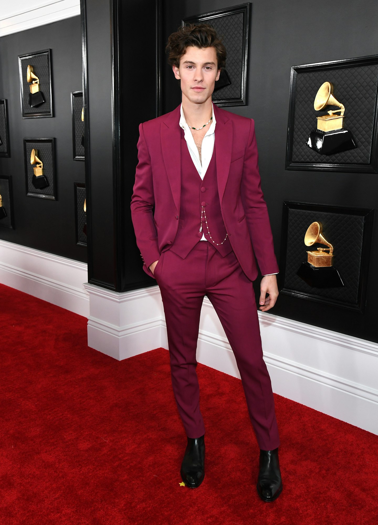 Shawn Mendes wearing Louis Vuitton