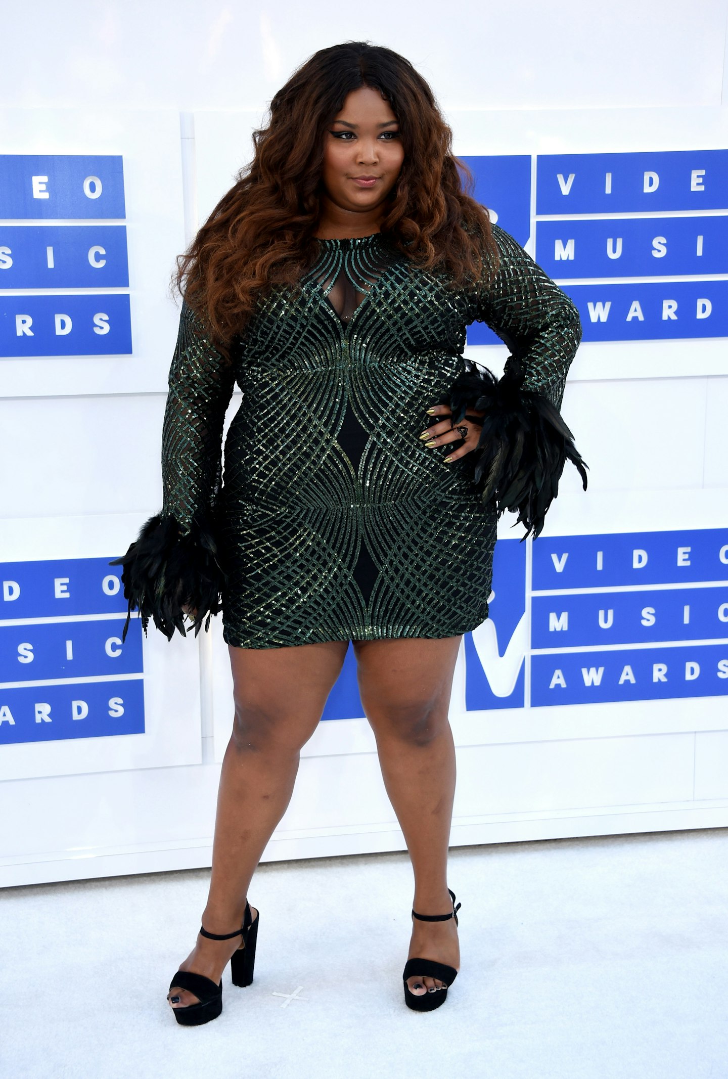 Lizzo Volunteers To Star In 'The Bodyguard' Remake Alongside Chris