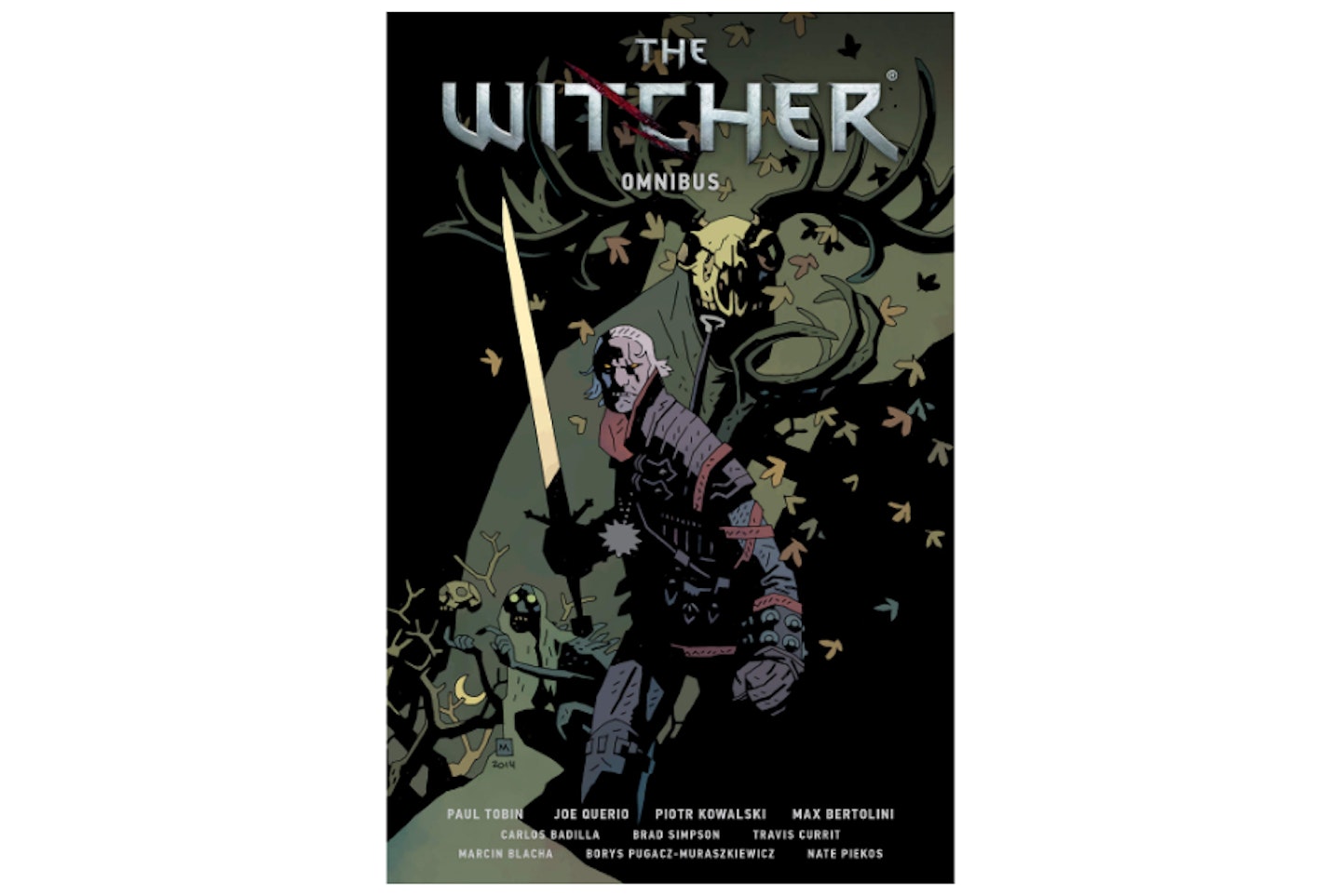 The Witcher Graphic Novel