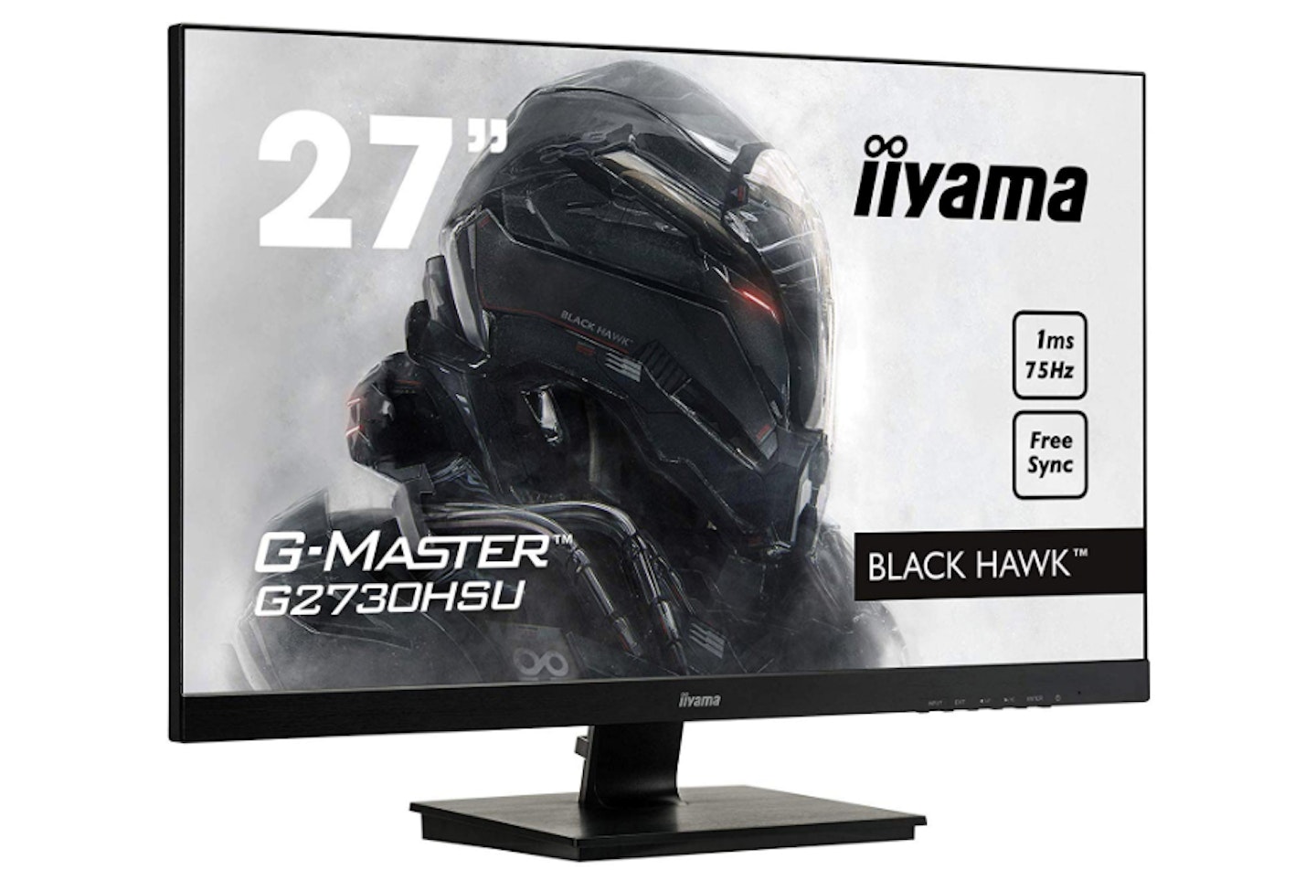 Iiyama GB2530HSU-B1 Gaming Monitor