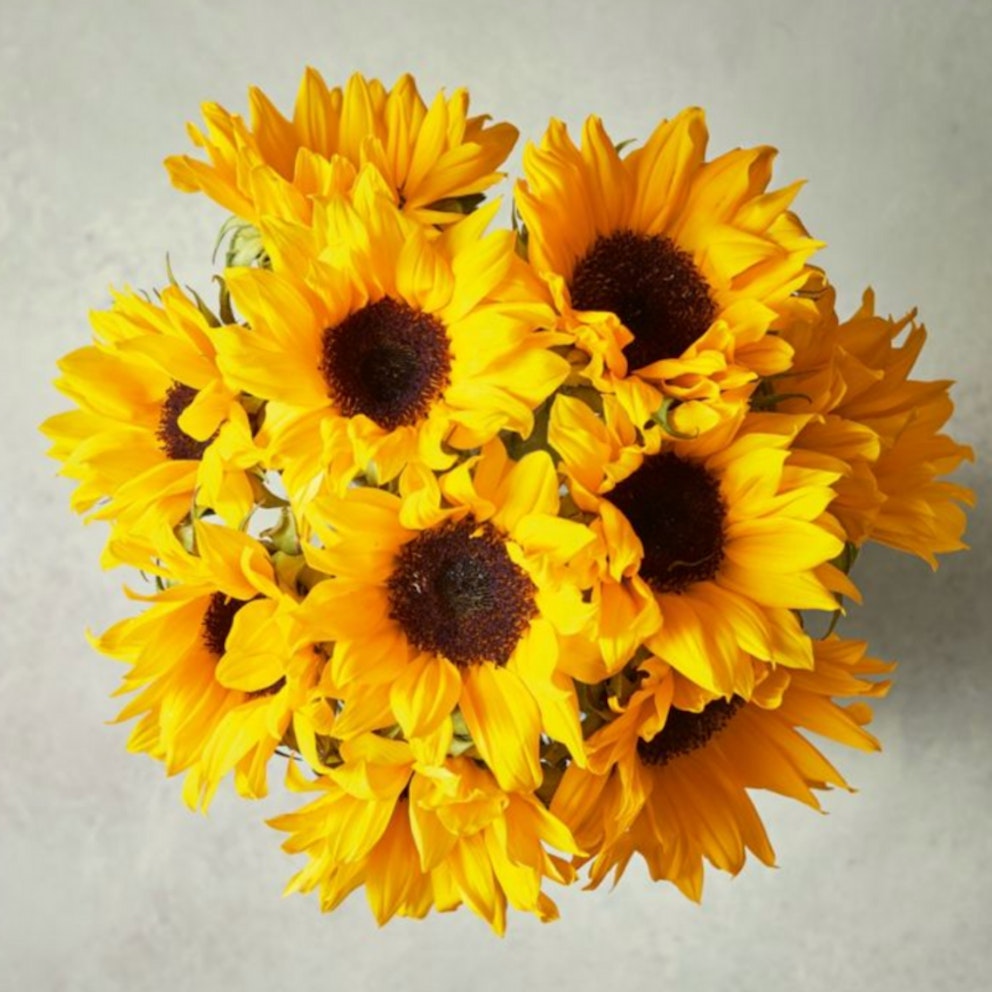 Best Online Flower Delivery UK for All Occasions