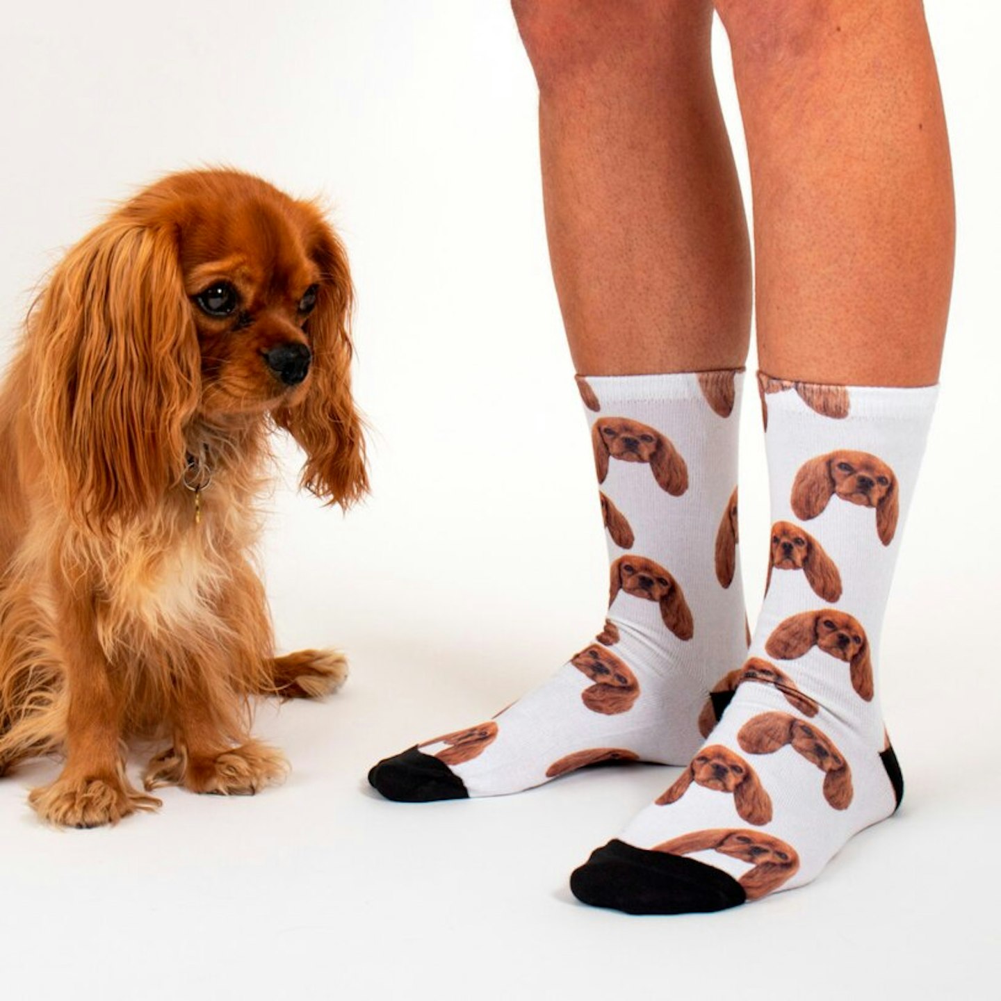 Sock Your Pet – Personalised Pet Socks