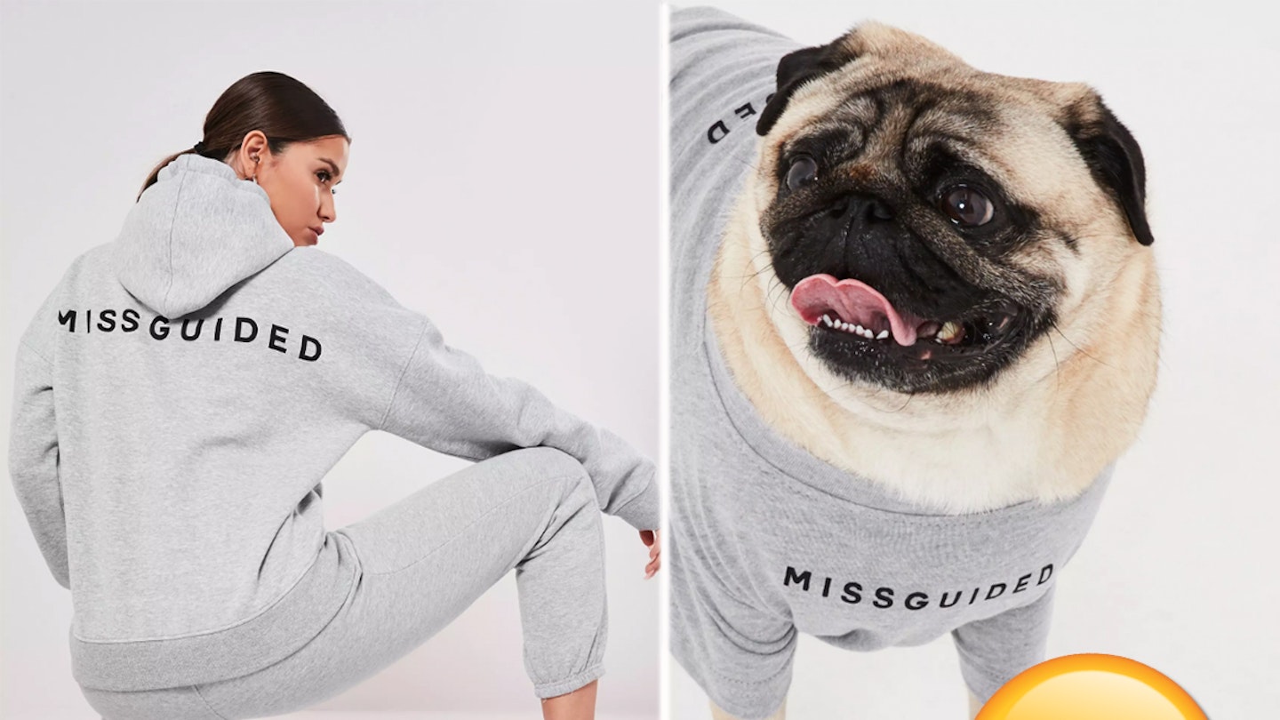 Missguided pup