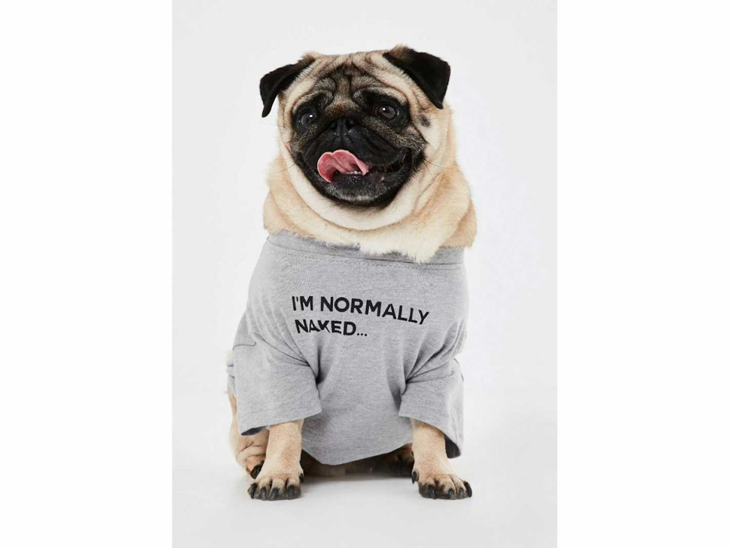grey naked graphic dog t shirt