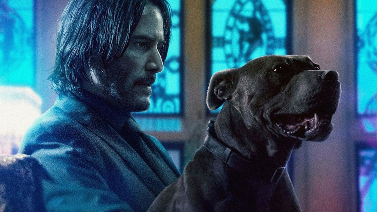 Dogs With Rabies In Movies