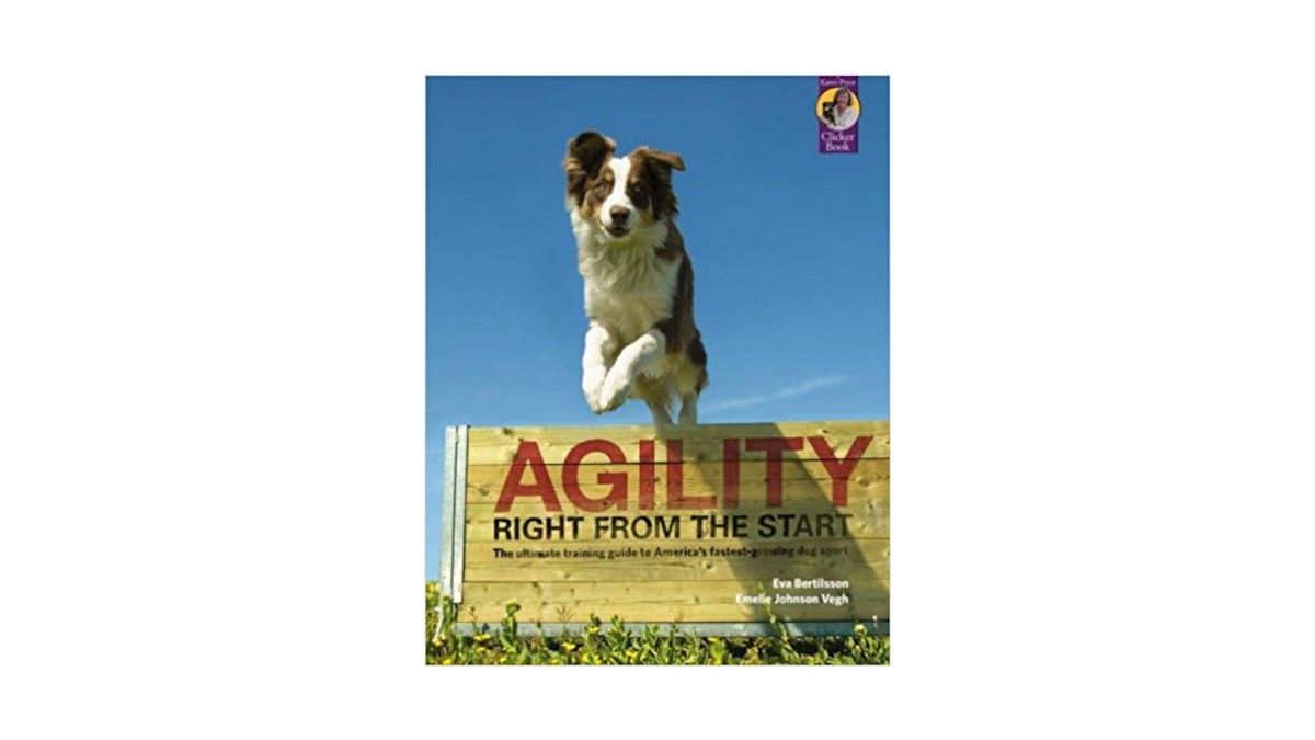 The Best Dog Agility Equipment