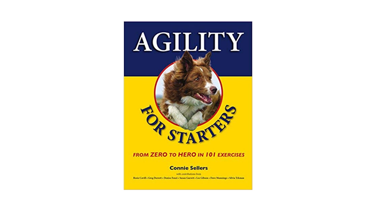 Agility for Starters: From Zero to Hero in 101 Exercises