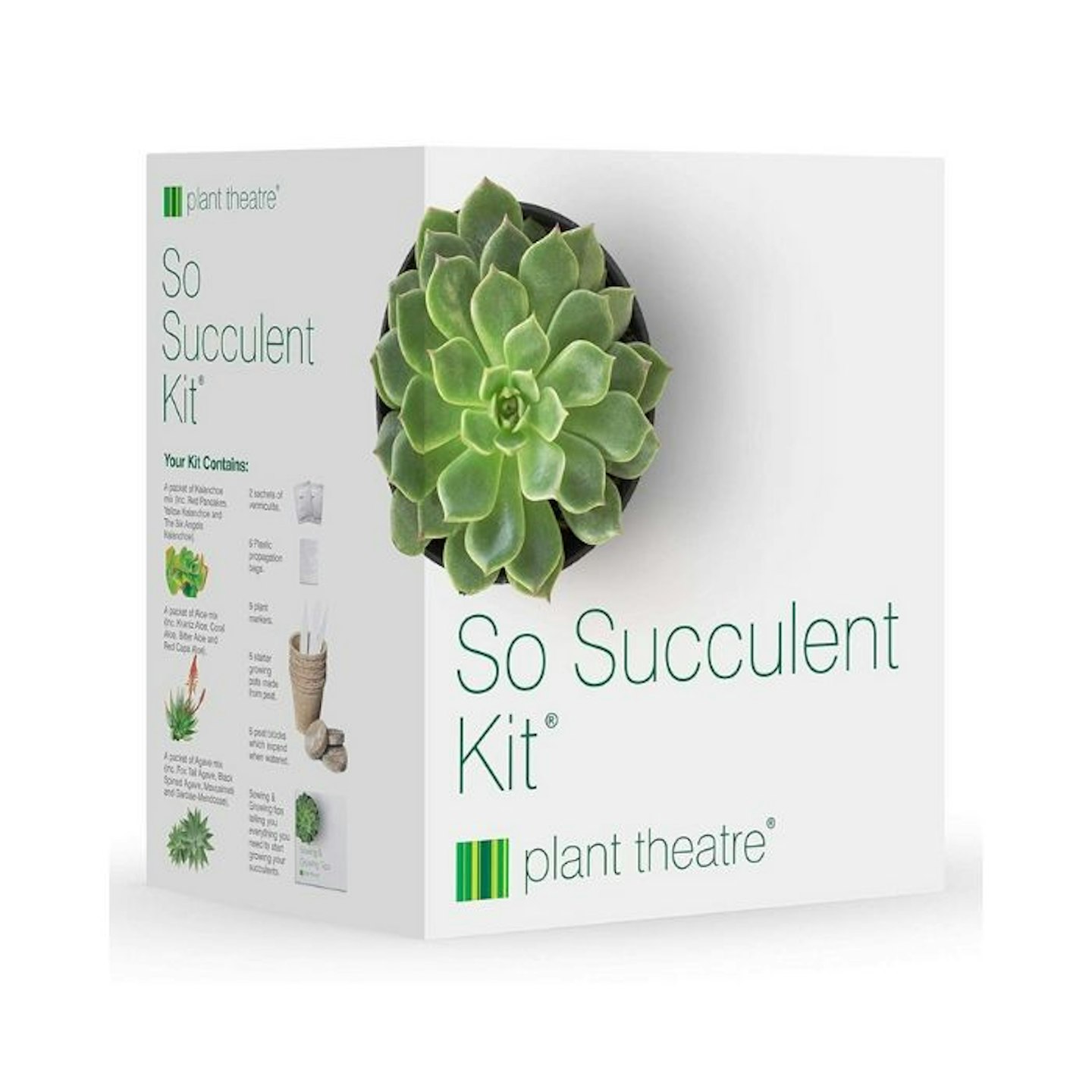 So Succulent Kit