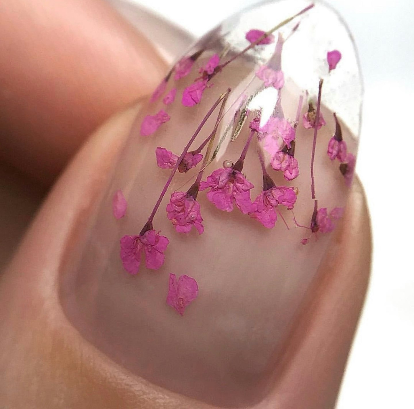 dried pressed flower nails