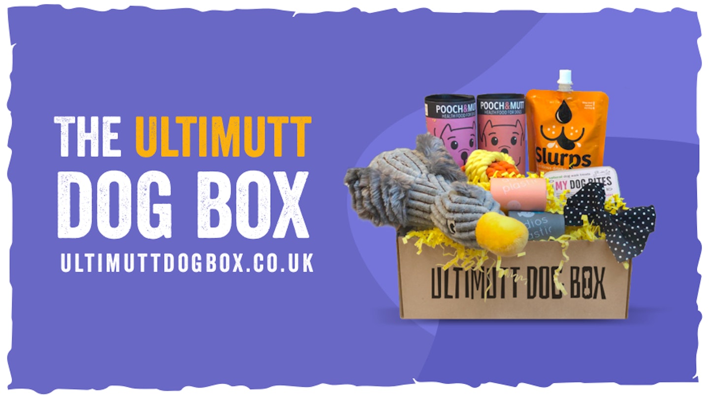 The Ultimutt Dog Box