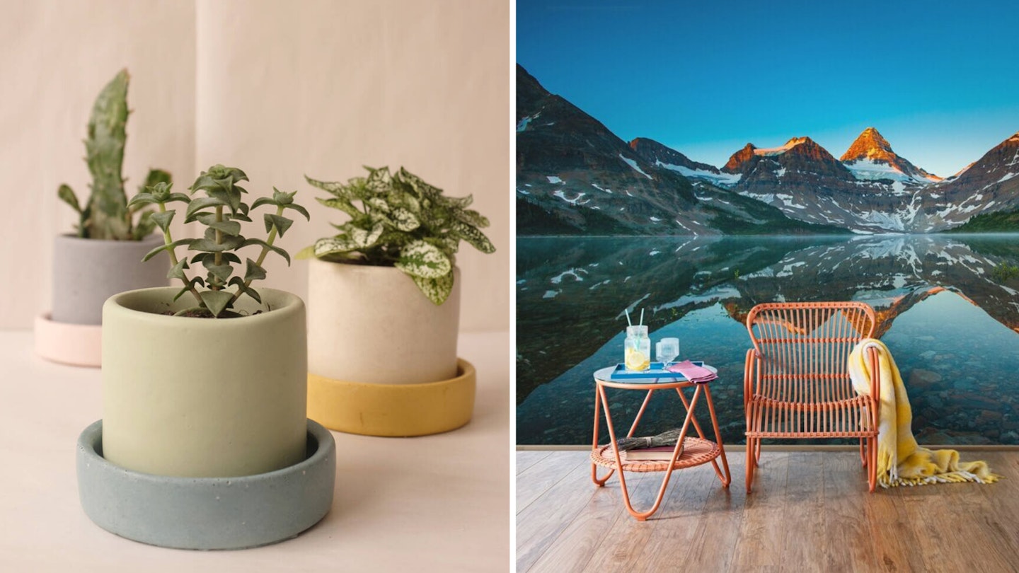 Coloured cement pots and mountain wallpaper