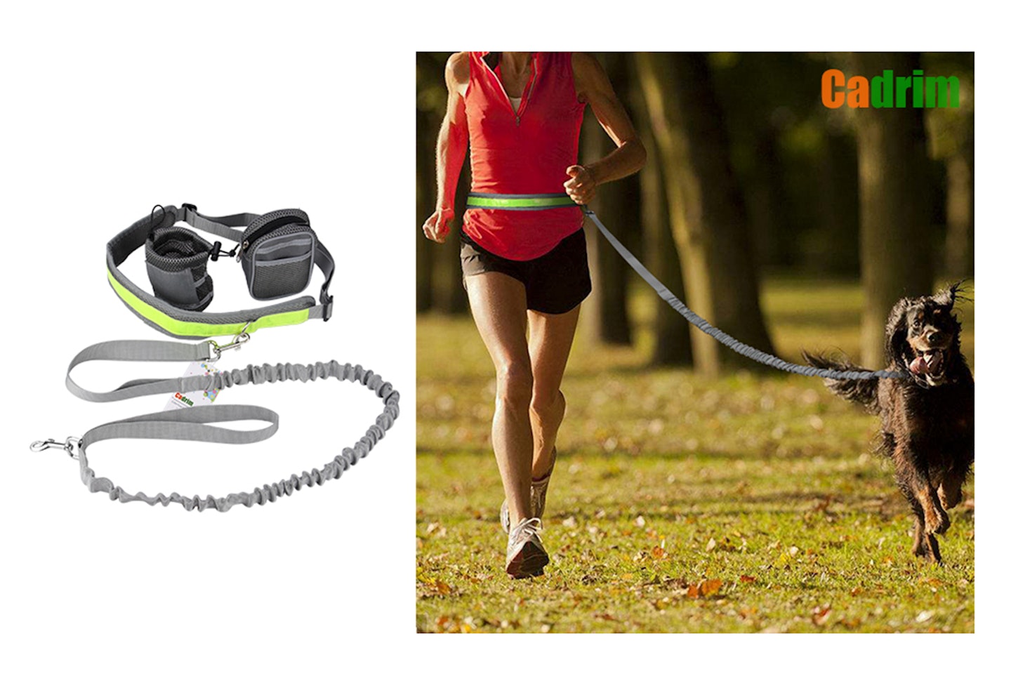 Cadrim Hands Free Dog Walking Belt