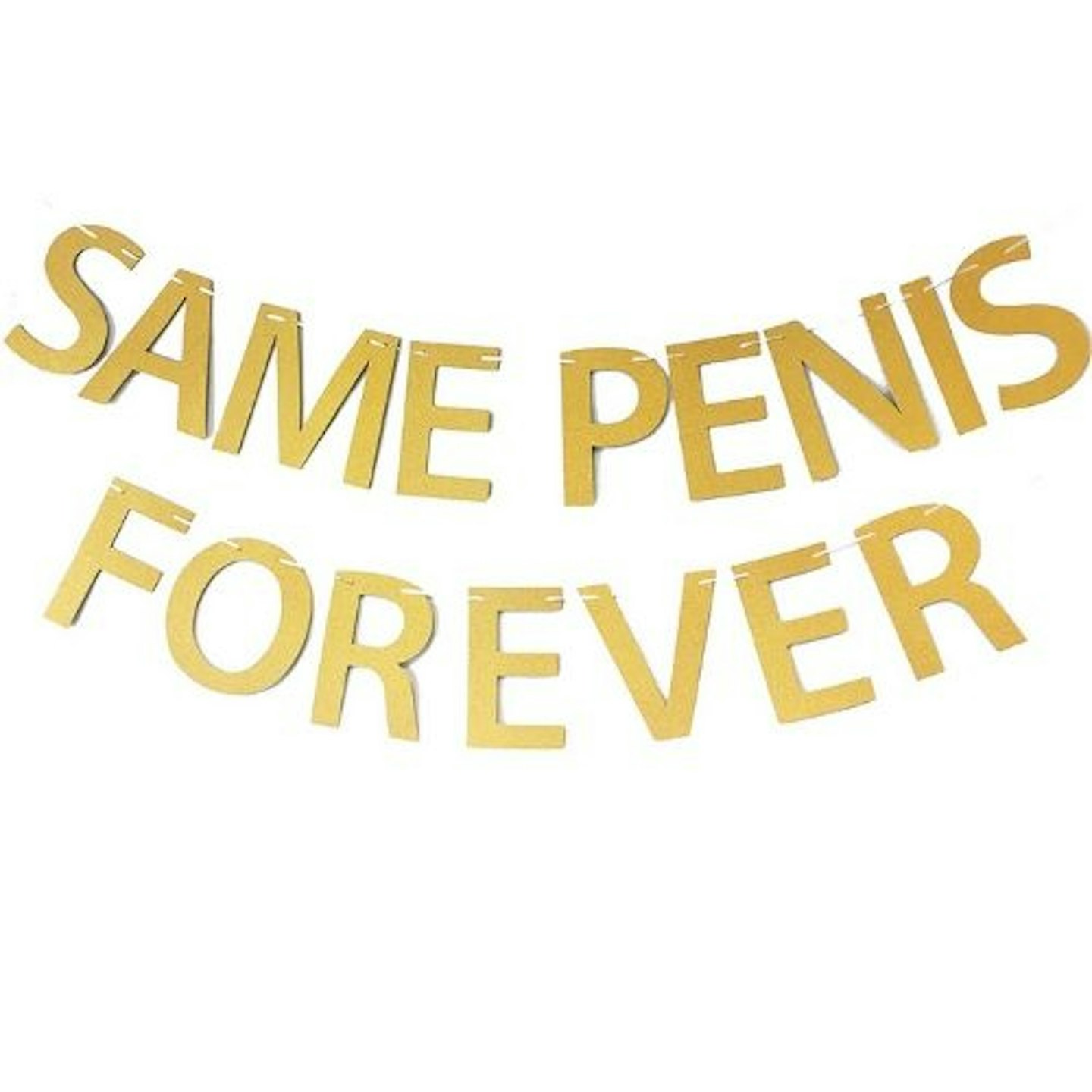 Same Penis Forever Banner