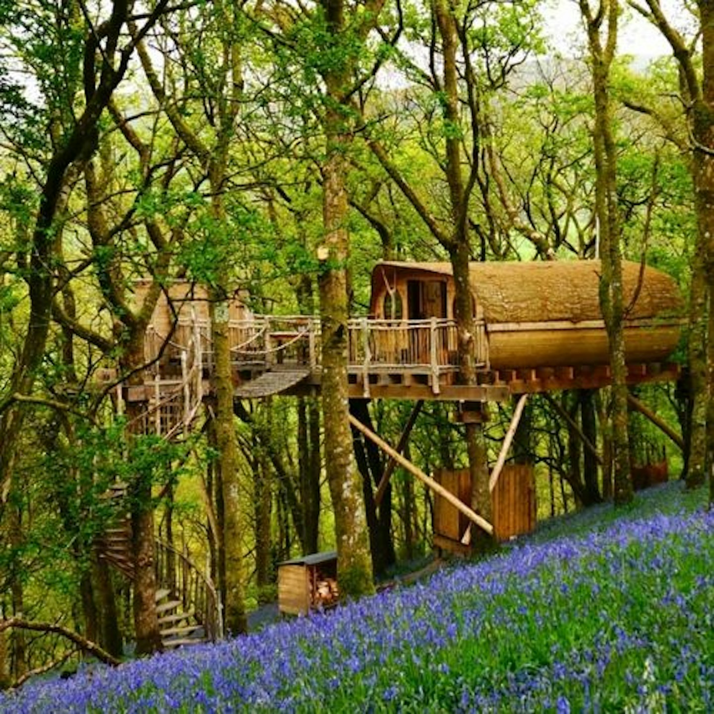 Two Night Luxury Treehouse Experience for Two