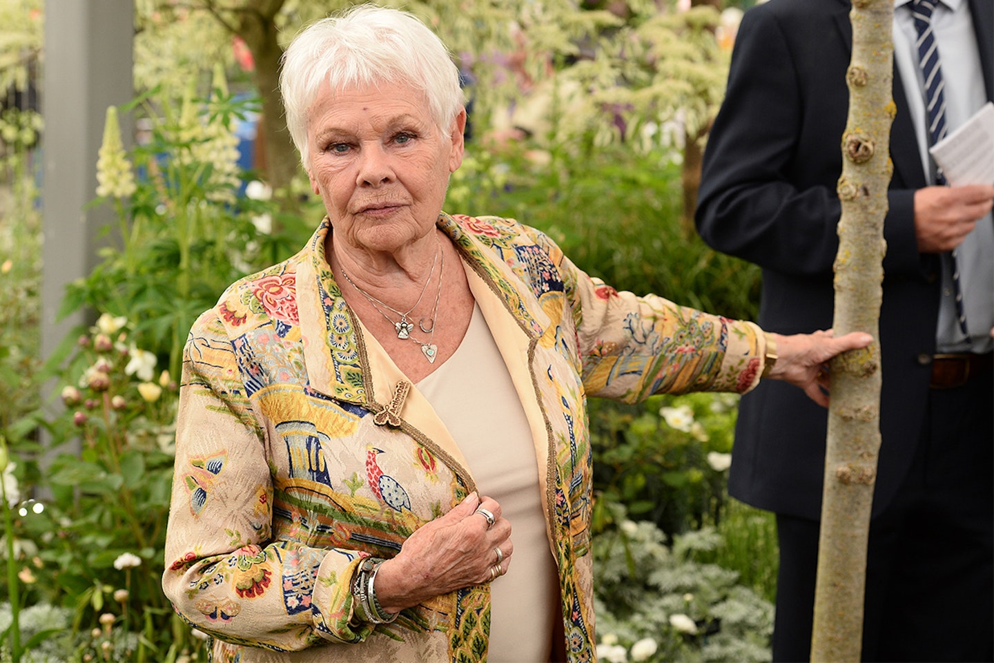 Judy Dench