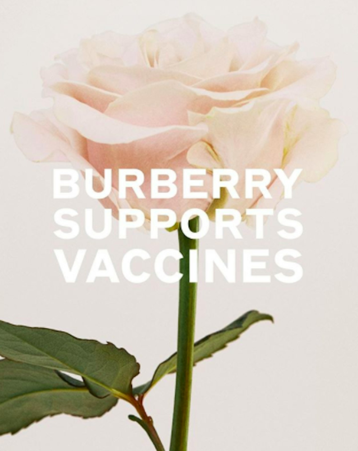 burberry coronavirus aid