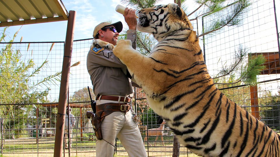 Tiger King: Murder, Mayhem And Madness Review | TV Show - Empire Tiger King: Murder, Mayhem And Madness Review | TV Show - Empire
