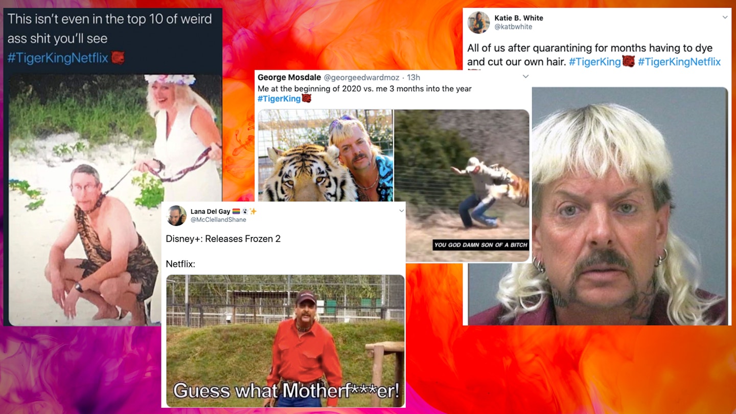 tiger king memes