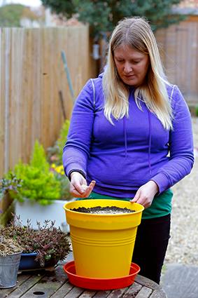 How To Grow Watercress