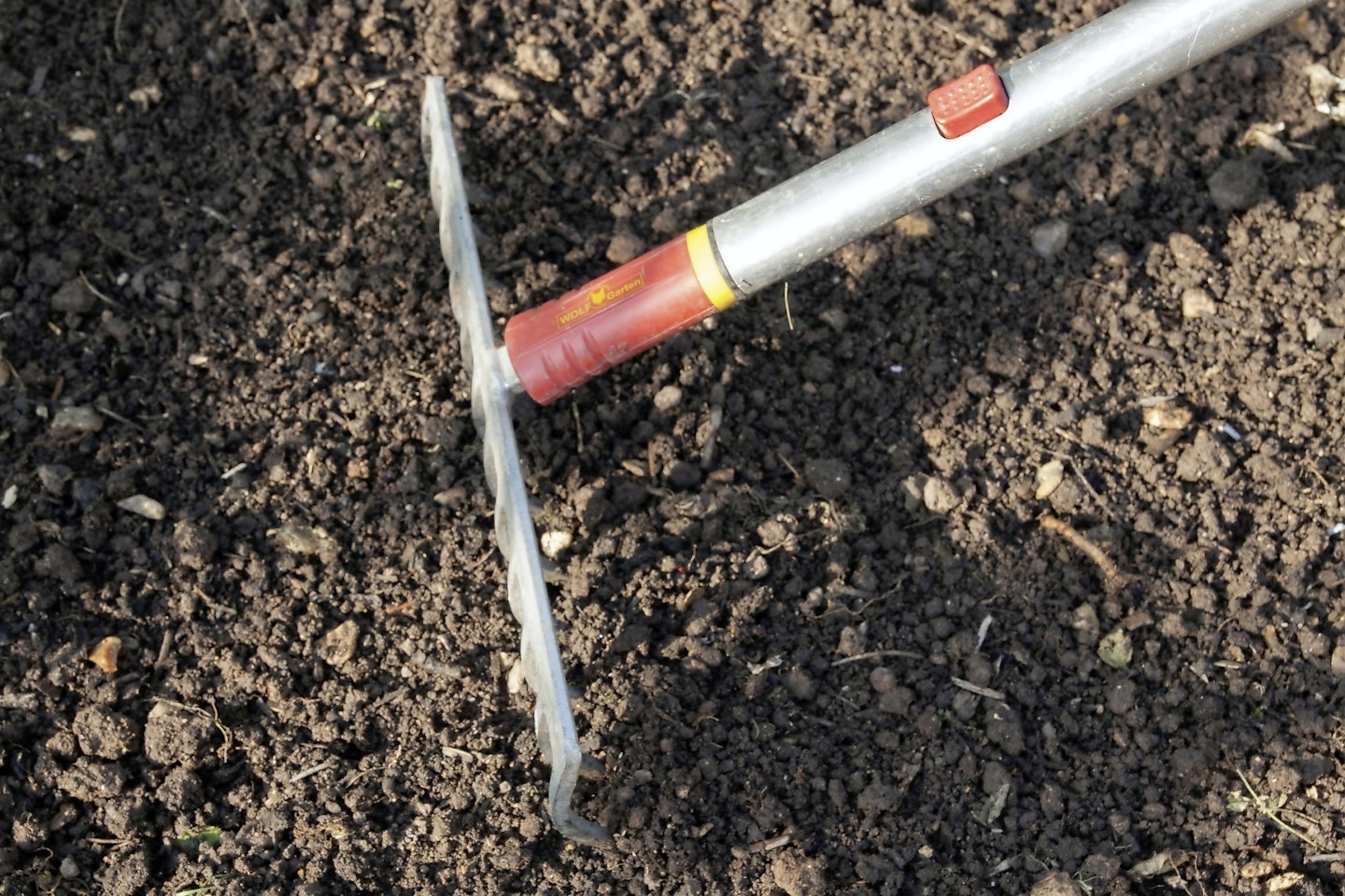 Rake soil so it’s free of lumps and lightly firm to create a level seed bed.