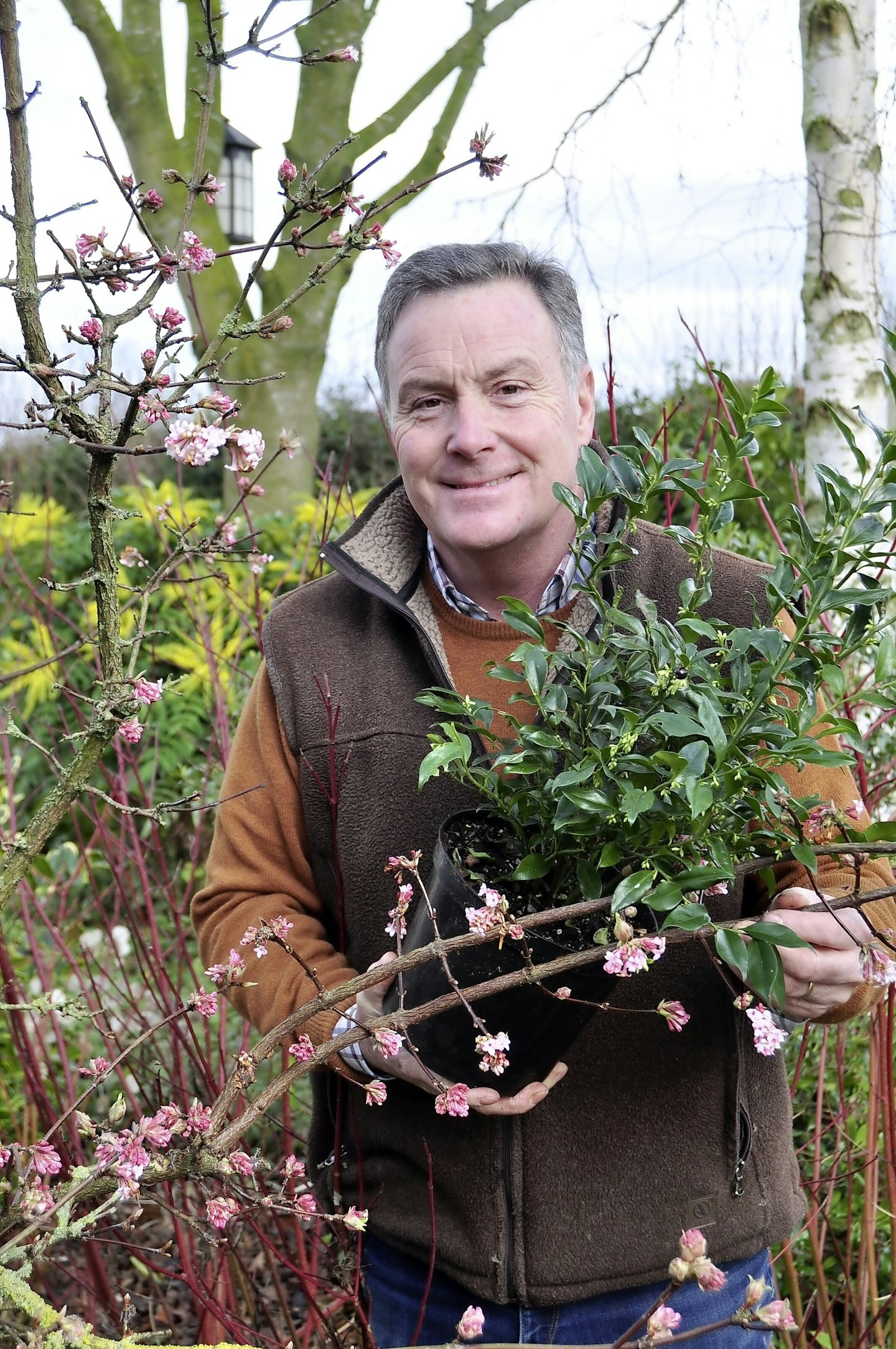 Plant Early Spring-Flowering Shrubs Now