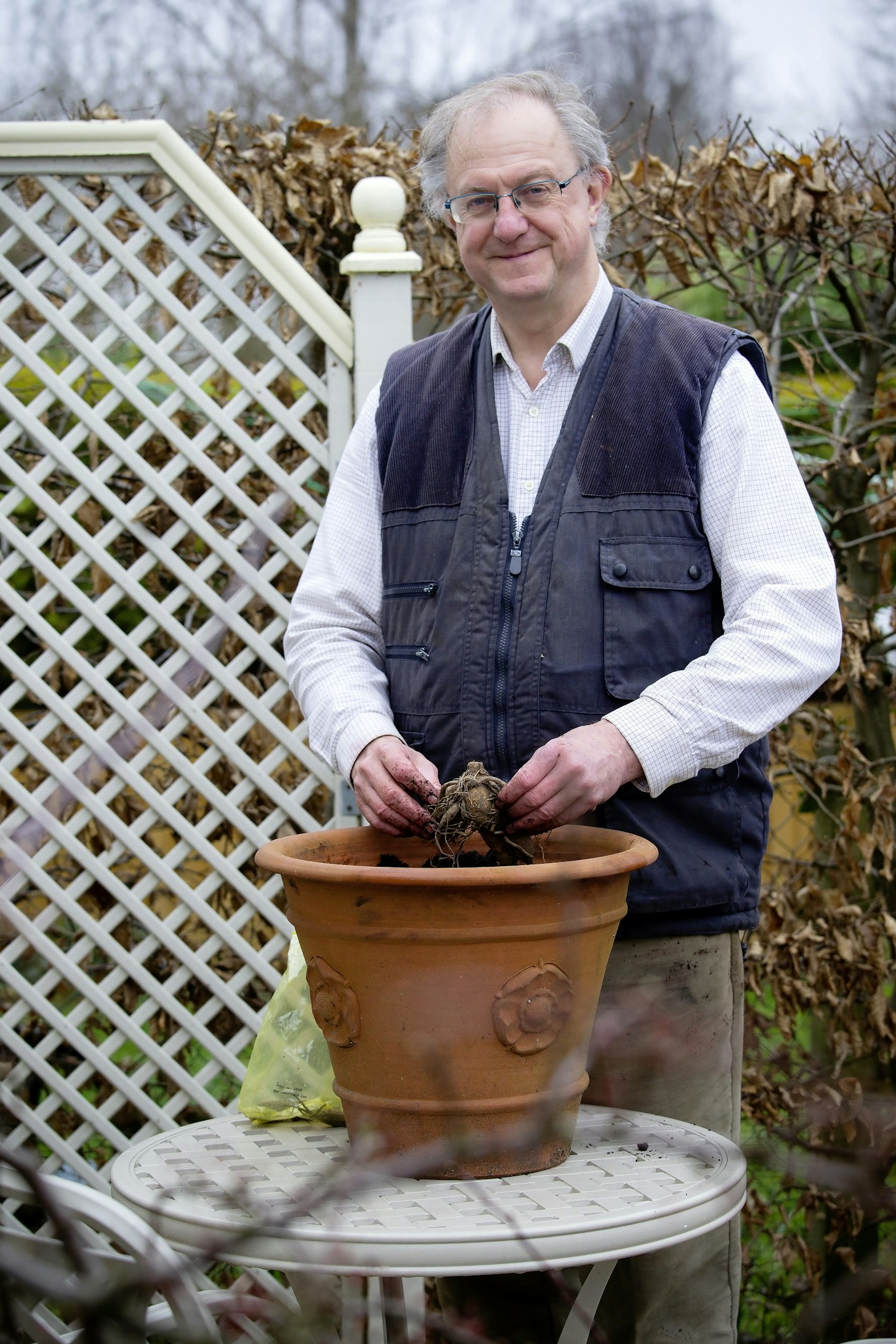 Plant dahlias in pots 