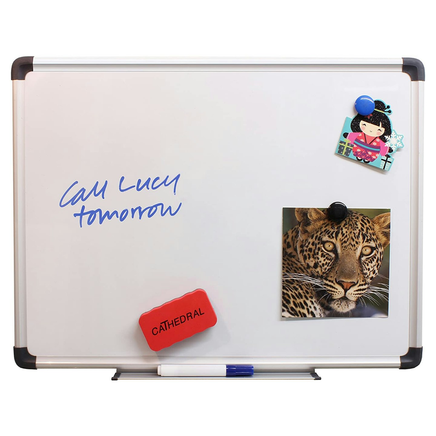 Cathedral Drywipe Magnetic Whiteboard