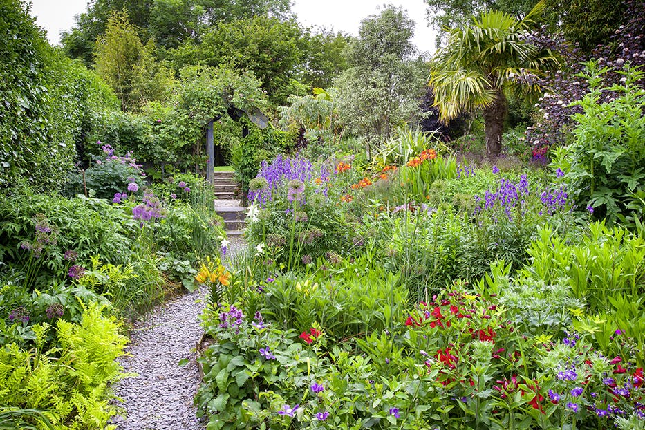 Poppy Cottage Garden | Garden News