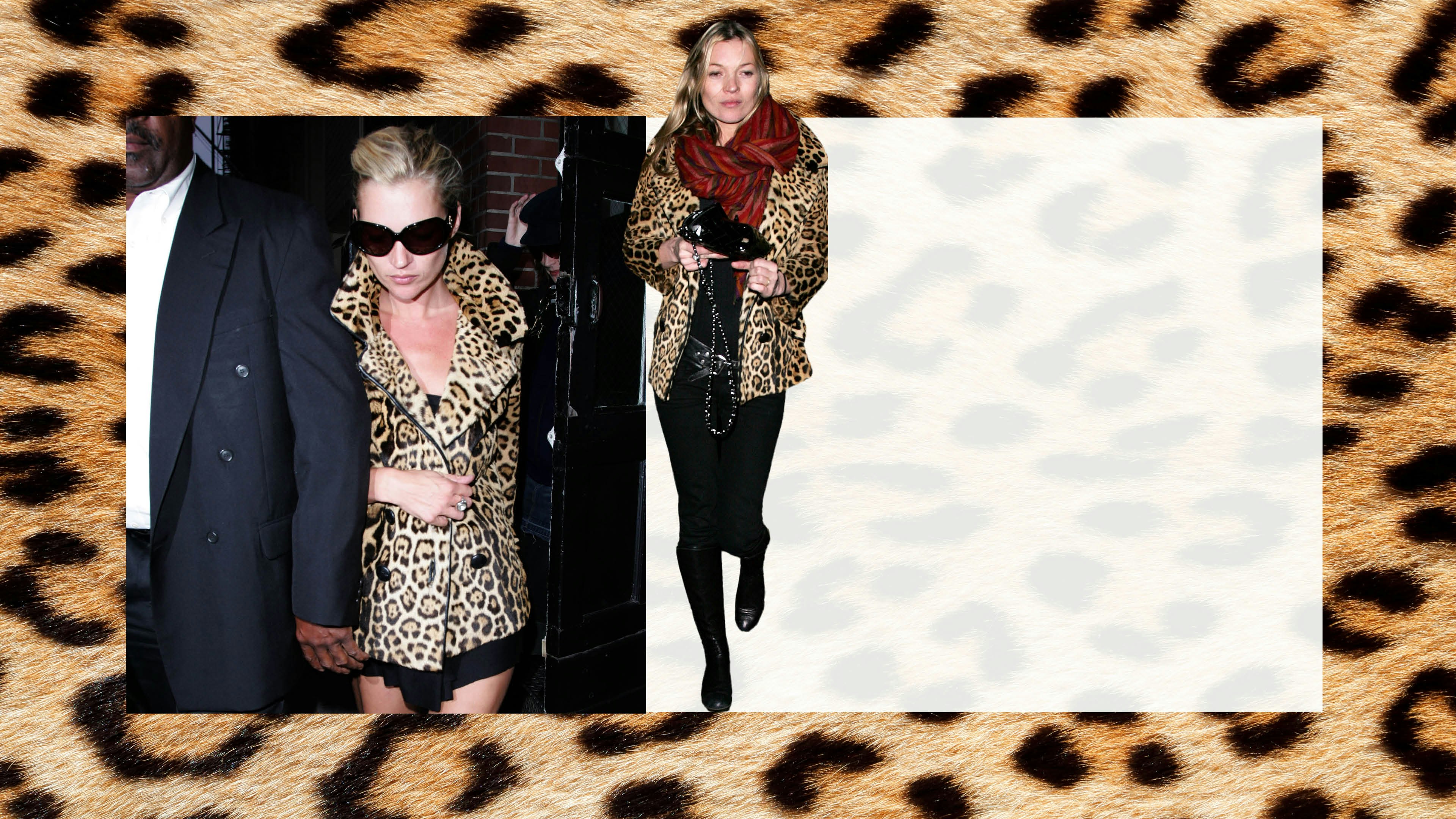 Calzedonia - Spread the voice: leopard tights are the