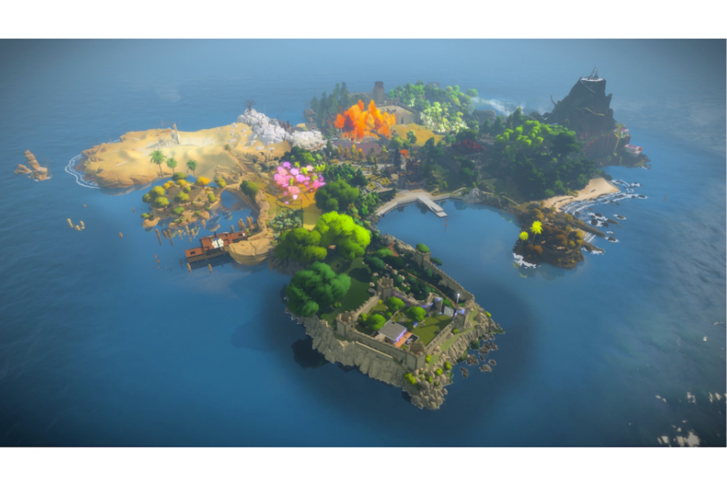 The Witness