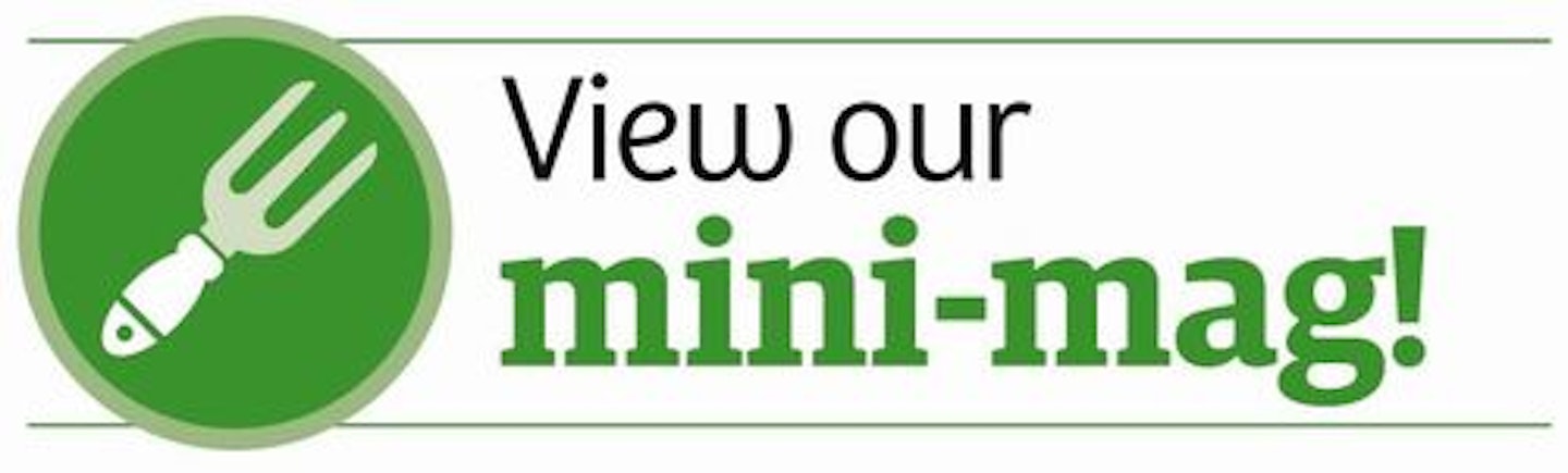 VIEW OUR MINI-MAG HERE