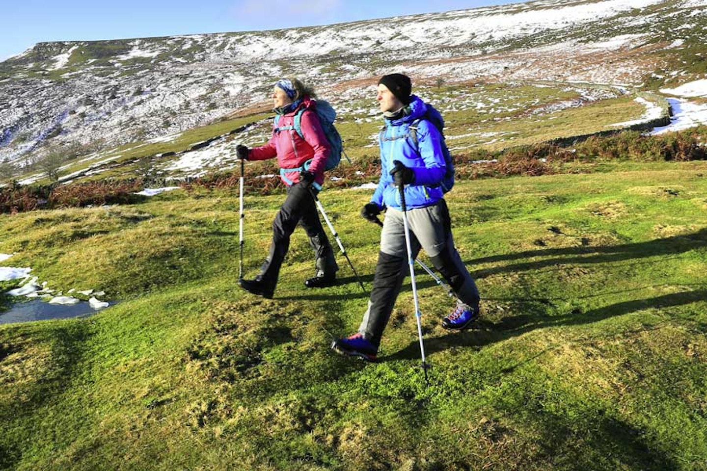 Walking Poles Review