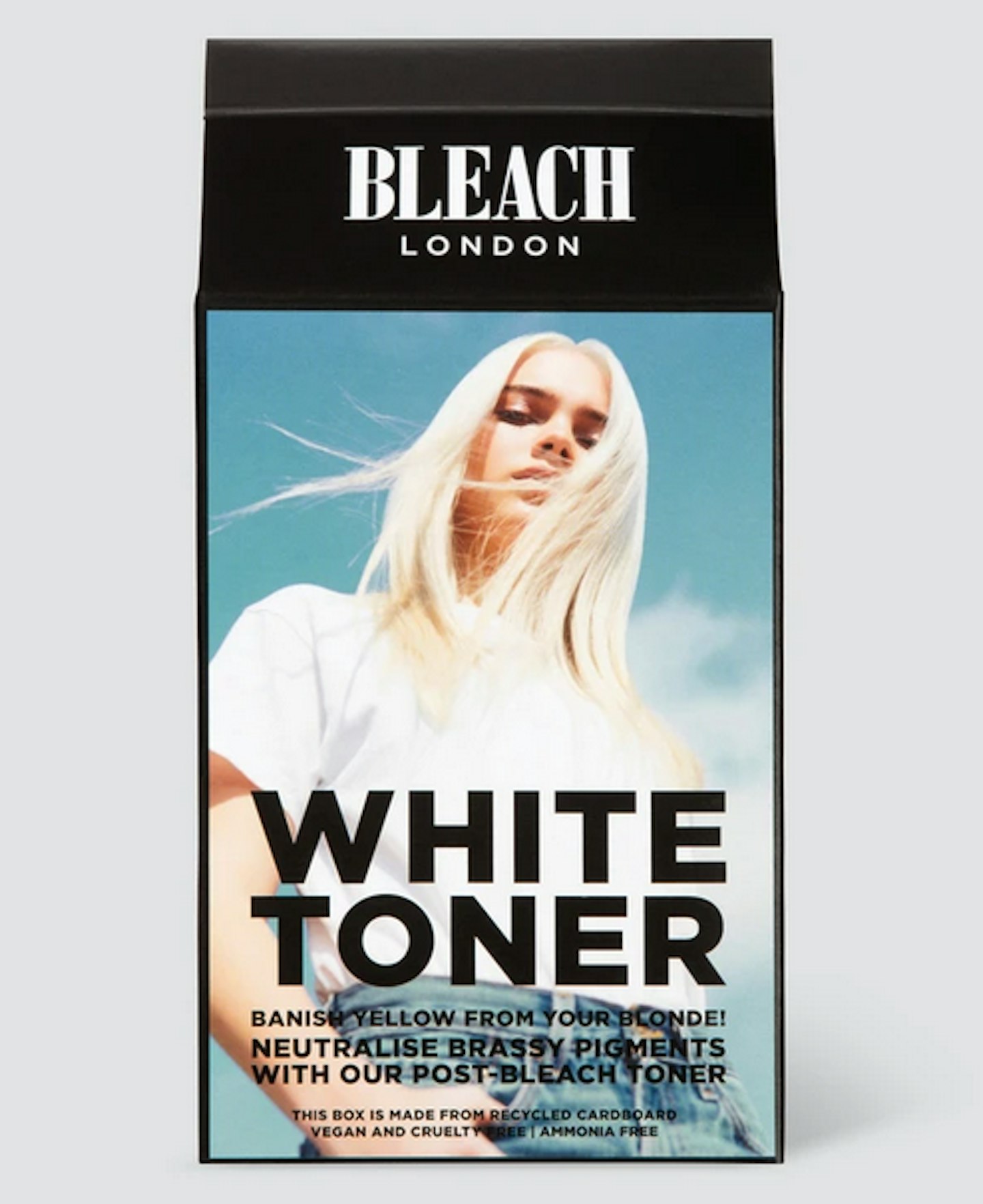 Bleach London White Toner Kit, £9