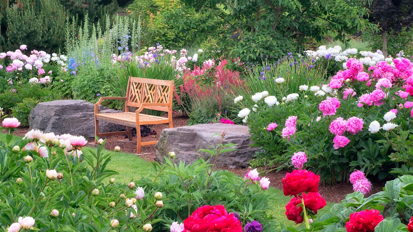 Peony And Hydrangea Garden