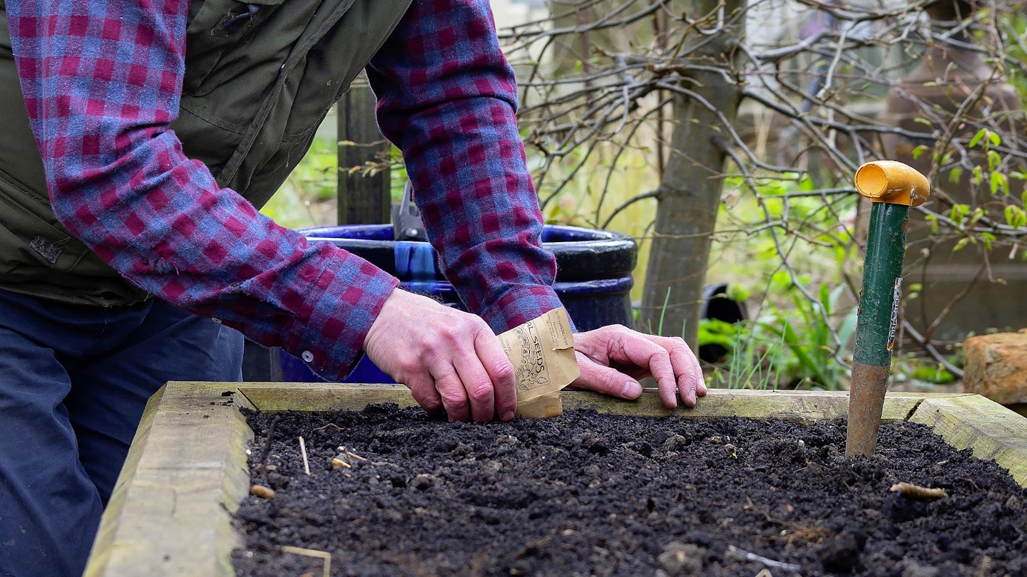 How To Pack More Veg Into A Small Growing Space