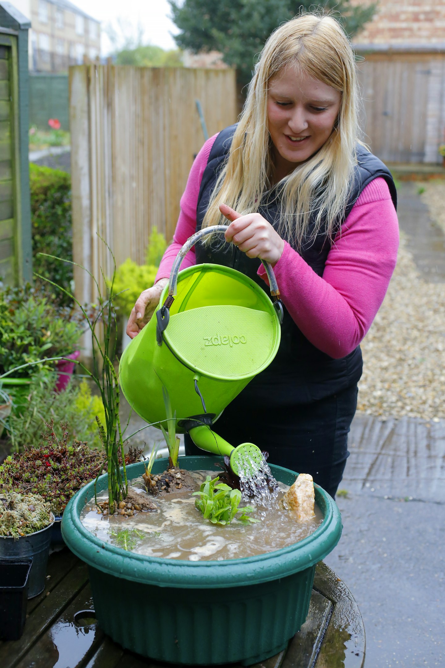 Making a container pond is an affordable way to introduce aquatic plants to your garden