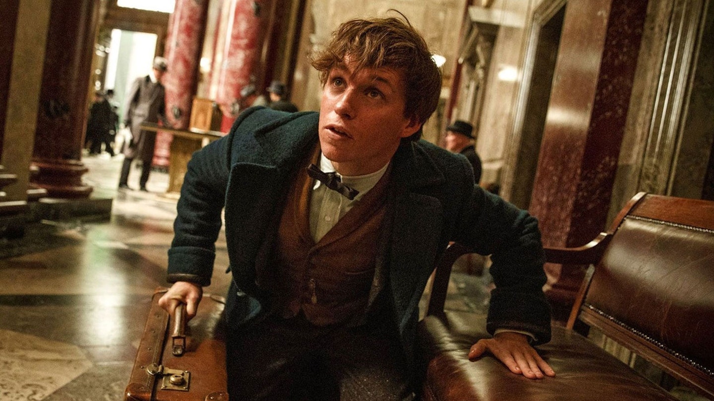 Every Harry Potter (And Fantastic Beasts) Movie Ranked, Movies