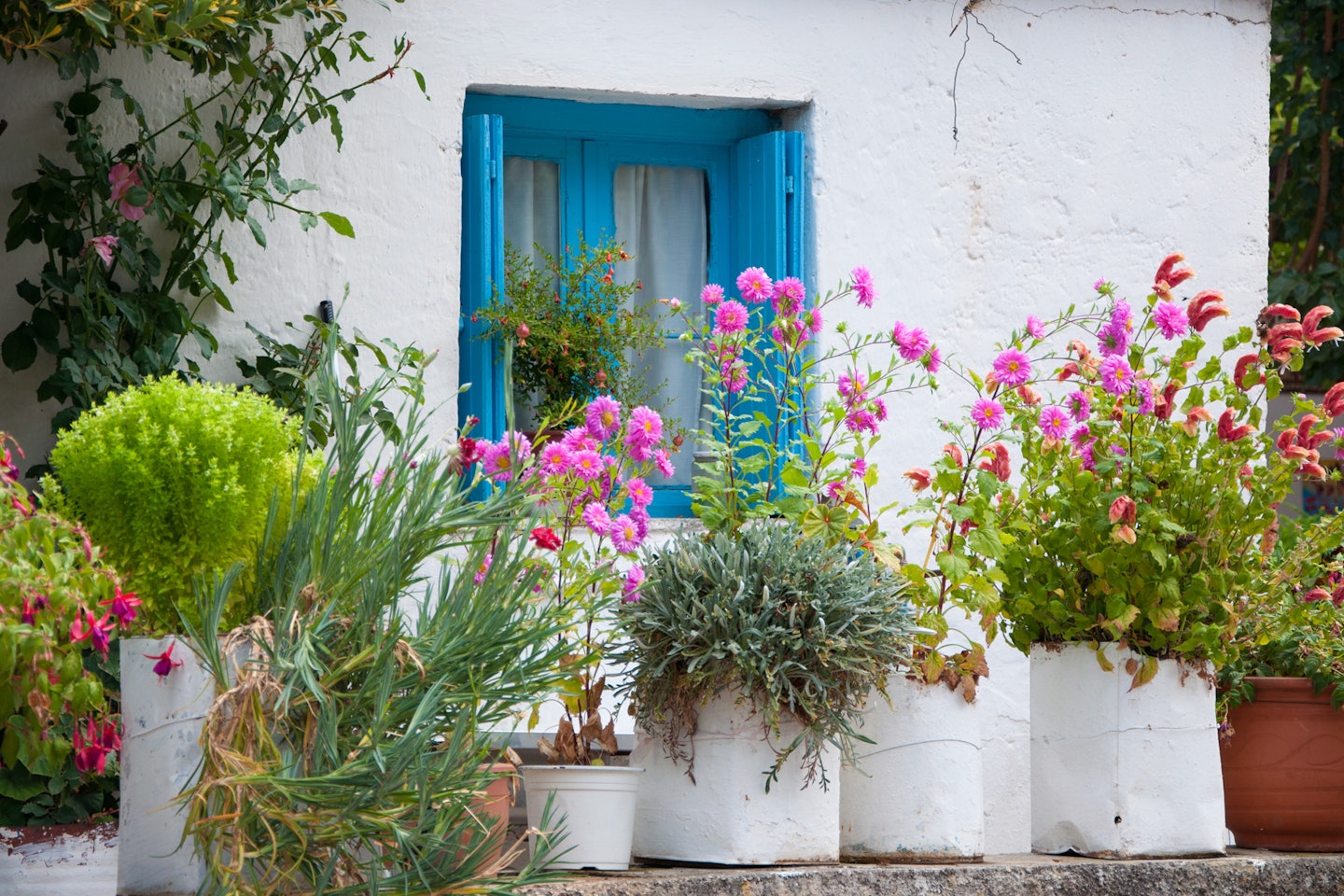 Use heavy pots and planters to deter would-be thieves