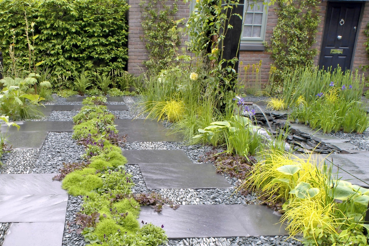 Wysteria can be useful for hiding a plain or ugly wall