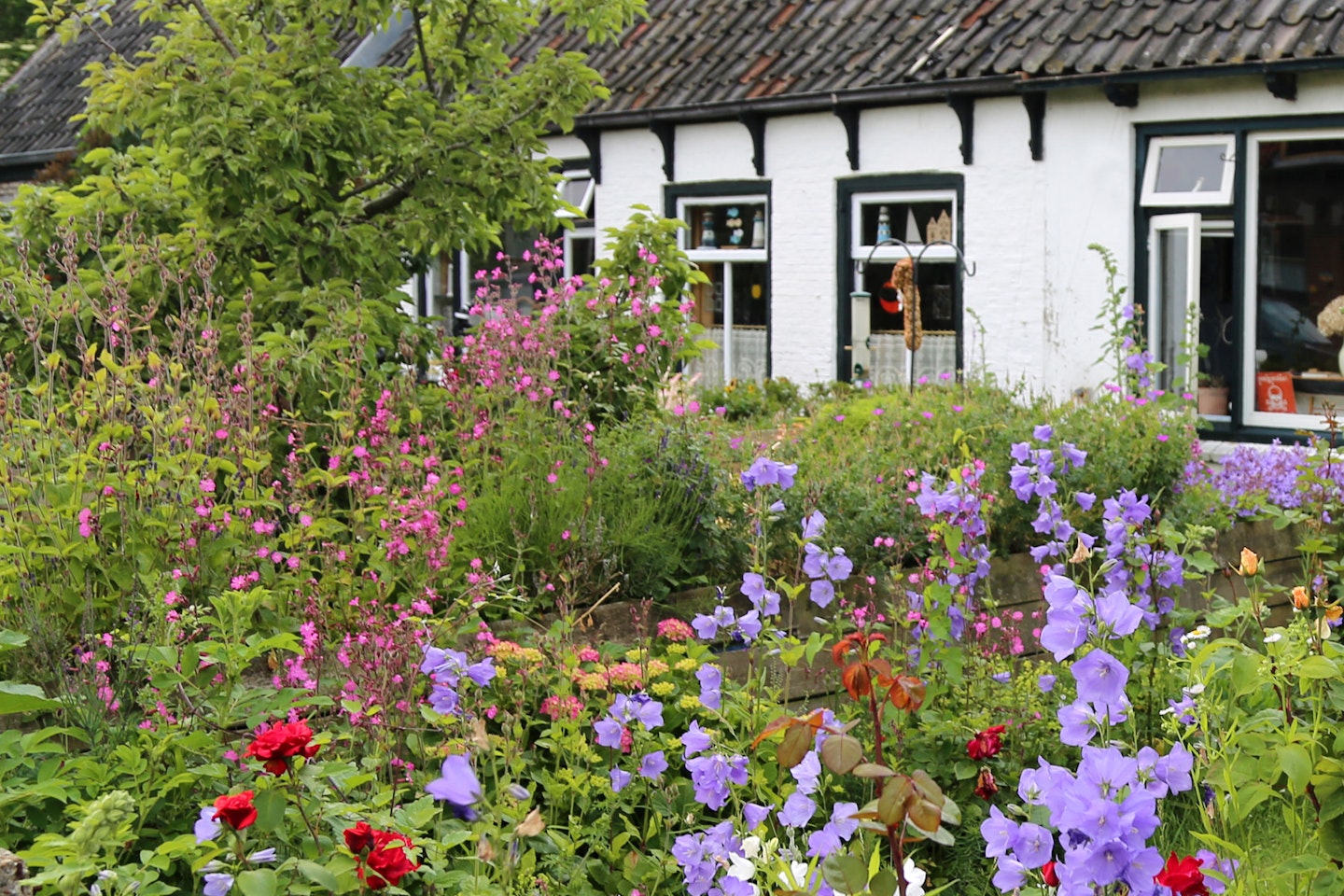 Improve the view out of your front windows