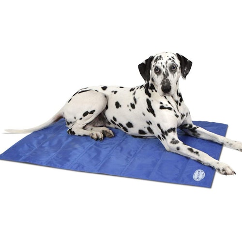 Stop pets overheating with cooling mats for cats and dogs Pets Take A Break