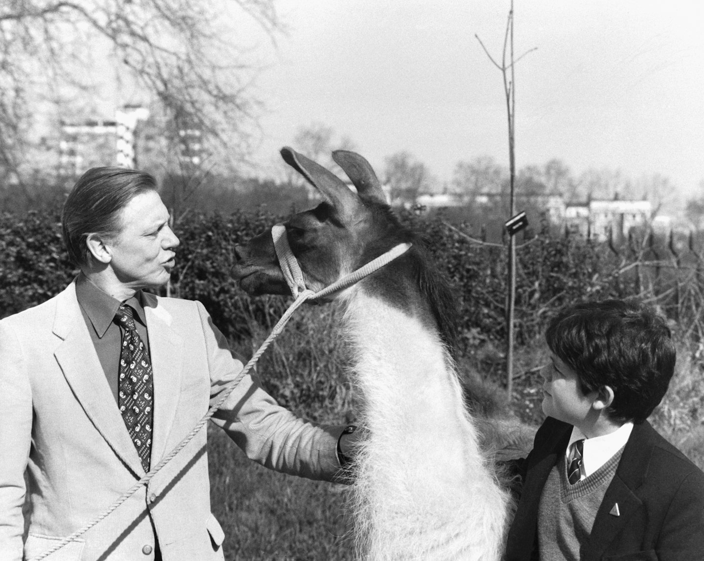 David Attenborough in 1980