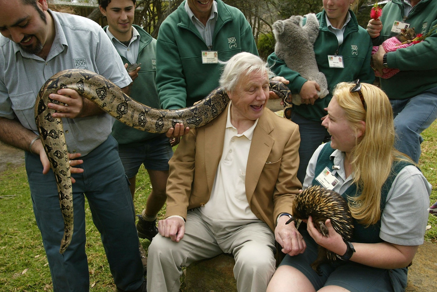 David Attenborough in 2003
